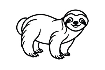 Fototapeta premium sloth