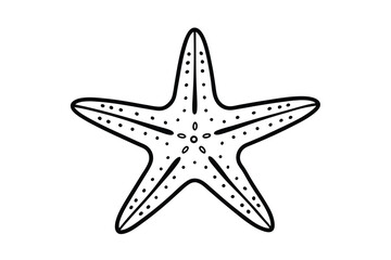 Fototapeta premium starfish on white background