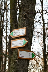A close-up shot of a tourist information sign at a forest crossroads, featuring Czech text