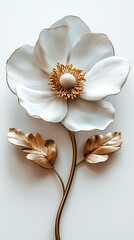 white flower on a white background