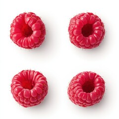 Vector illustration showing four views of a raspberry in a creative and detailed collage design