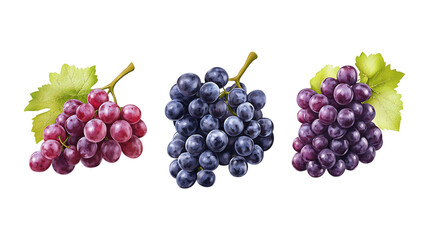 Pack of Grapes set Against Transparent Background for Fresh Fruit, Vineyard Branding, or Healthy Food Promotion