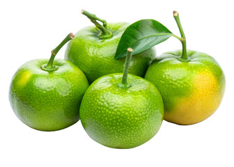 Yamaimo (山芋)  isolated on white background