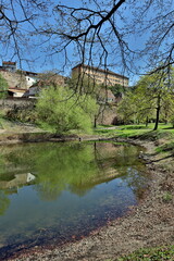 Fototapeta premium Häuser auf dem Münsterberg in Breisach