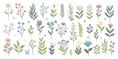 Hand-Drawn Set of Various Colorful Floral and Leaf Illustrations