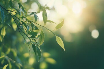 Obraz premium Close-up of green tea leaves with a blurred background in a nature garden, with a soft focus and bokeh effect