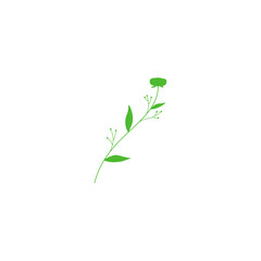 green branch with leaves