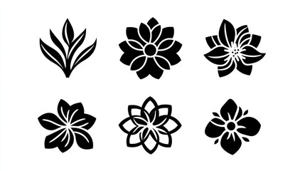 Obraz premium Six floral designs; black silhouettes on white; design elements; website or print