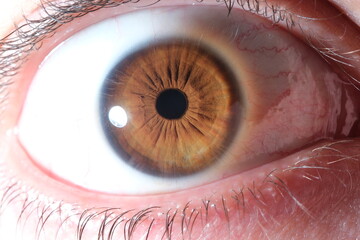 human eye close up