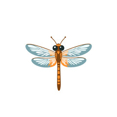 Colorful dragonfly illustration against a white background  