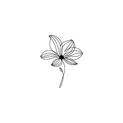 Minimalist Line Art Flower, Simple Floral Design, Elegant Black and White
