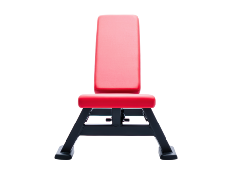 Fitness bench for strength training and workouts at home, cut out