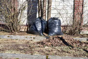 black bags of last year's leaves stand near trees in the park, a concept of spring garden cleanup