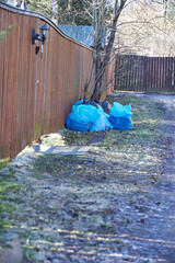 blue bags of last year's leaves stand near trees in the park, a concept for spring garden cleanup