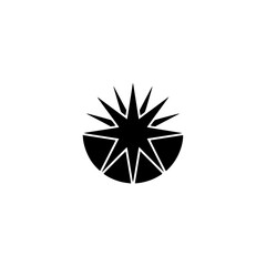 Fototapeta premium Abstract Black Starburst Design on White Background