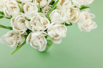 A bouquet of white tulips on a pastel green background. Blooming flowers, festive concept