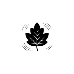 Minimalist Black Leaf with Shadow and Radial Lines on White Background