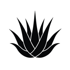 Obraz premium vector black and white Alovera plant