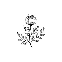 Elegant Botanical Line Art: Simple Flower with Leaves
