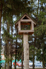 A bird feeder on a tree in the middle of a park