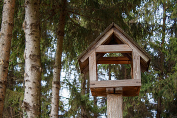 A bird feeder in the middle of a forest with trees in the background