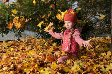 A girl child is throwing up yellow maple leaves.
