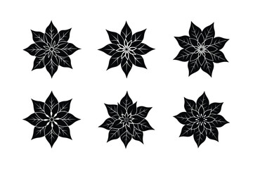 Obraz premium poinsettia floral element vector art silhouette