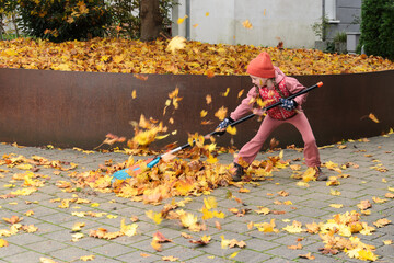 A girl child rakes fallen leaves from a maple tree.