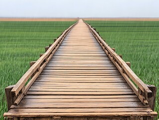 Obraz premium Wooden Pathway Through Green Fields Under Rain