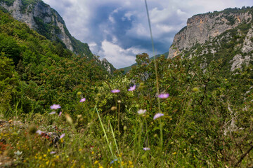 A picturesque view of Mount Olympus in Greece