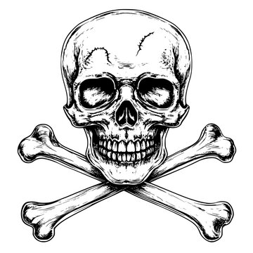 recommend clip art: Skull and crossbones coloring book vector art, Skull and crossbones illustration art