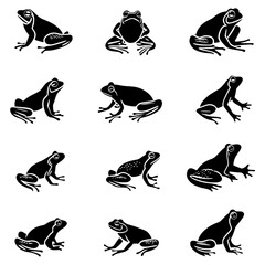 Naklejka premium Collection of Frogs vector designs, Frogs vector image