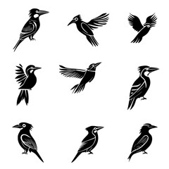 Obraz premium Collection of Kookaburras vector designs, Kookaburras vector image