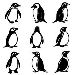 Obraz premium Collection of Penguins vector designs, Penguins vector image