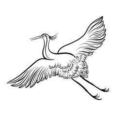Elegant Line Art of Flying Crane – Traditional Asian Bird Illustration on White Background.