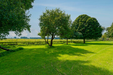 View over a meadow with trees.