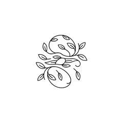 Elegant Line Art Floral Design on White Background