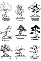 Collection of Bonsai trees coloring book vector designs, Bonsai trees vector illustration