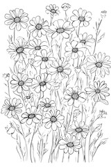 Collection of Daisies coloring book vectors, Daisies vector illustration