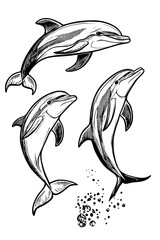 Naklejka premium Collection of Dolphins coloring book vectors, Dolphins vector illustration