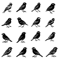 Fototapeta premium Collection of Finches vector designs, Finches vector illustration