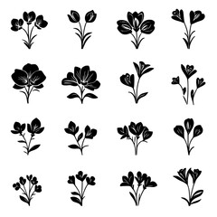Collection of Freesias vector designs, Freesias vector illustration