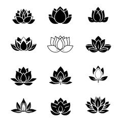 Collection of Lotuses vector designs, Lotuses vector illustration
