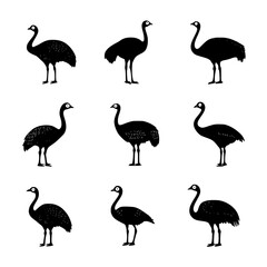 Fototapeta premium Collection of Ostriches vector designs, Ostriches vector illustration