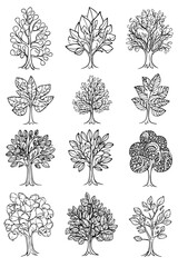 Collection of Trees coloring book vector designs, Trees illustration art