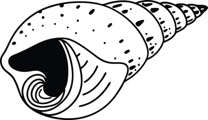 Detailed Black and White Nautilus Shell Illustration