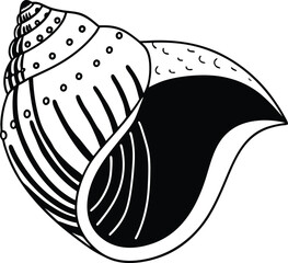 Detailed Black and White Nautilus Shell Illustration