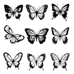 Collection of Butterflies vector designs, Butterflies vector graphic