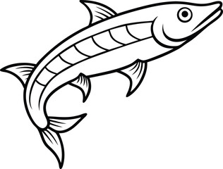 Barracuda Fish Line art Design with white background