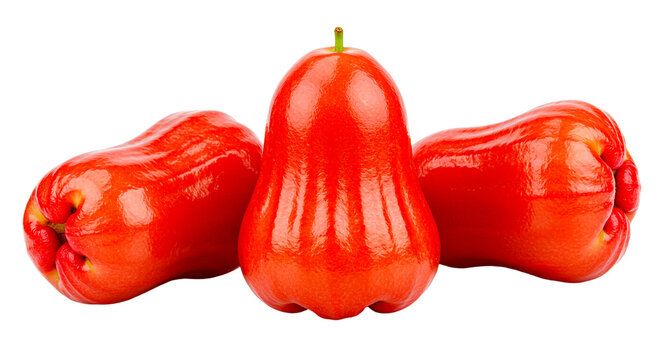 A close up of three vibrant red rose apples against a stark black background showcasing their glossy skin